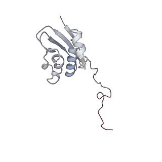 6486_3jbv_I_v1-5
Mechanisms of Ribosome Stalling by SecM at Multiple Elongation Steps