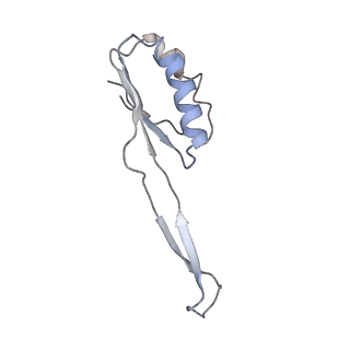 6486_3jbv_J_v1-5
Mechanisms of Ribosome Stalling by SecM at Multiple Elongation Steps