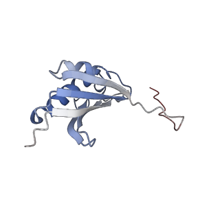 6486_3jbv_K_v1-5
Mechanisms of Ribosome Stalling by SecM at Multiple Elongation Steps