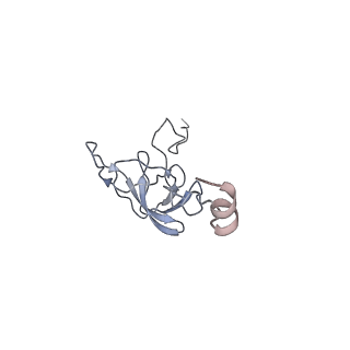 6486_3jbv_L_v1-5
Mechanisms of Ribosome Stalling by SecM at Multiple Elongation Steps