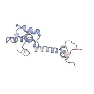 6486_3jbv_M_v1-5
Mechanisms of Ribosome Stalling by SecM at Multiple Elongation Steps