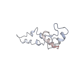 6486_3jbv_N_v1-5
Mechanisms of Ribosome Stalling by SecM at Multiple Elongation Steps