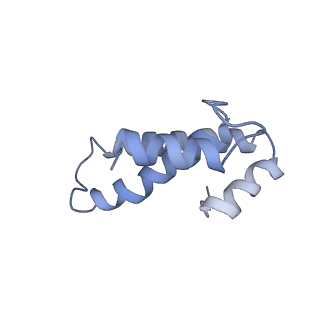 6486_3jbv_O_v1-5
Mechanisms of Ribosome Stalling by SecM at Multiple Elongation Steps