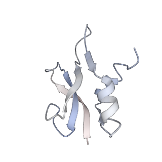 6486_3jbv_P_v1-5
Mechanisms of Ribosome Stalling by SecM at Multiple Elongation Steps