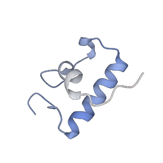 6486_3jbv_R_v1-5
Mechanisms of Ribosome Stalling by SecM at Multiple Elongation Steps