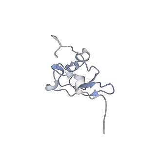 6486_3jbv_S_v1-5
Mechanisms of Ribosome Stalling by SecM at Multiple Elongation Steps