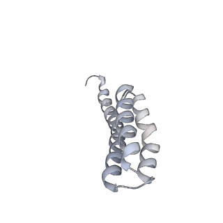 6486_3jbv_T_v1-5
Mechanisms of Ribosome Stalling by SecM at Multiple Elongation Steps