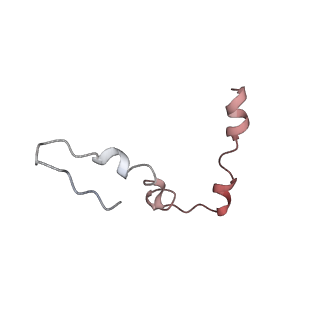 6486_3jbv_U_v1-5
Mechanisms of Ribosome Stalling by SecM at Multiple Elongation Steps