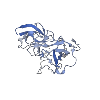 6486_3jbv_c_v1-5
Mechanisms of Ribosome Stalling by SecM at Multiple Elongation Steps