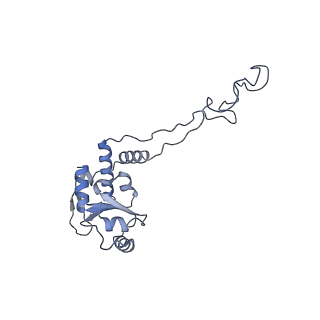 6486_3jbv_e_v1-5
Mechanisms of Ribosome Stalling by SecM at Multiple Elongation Steps