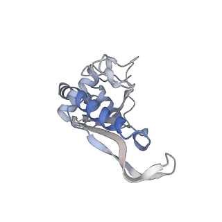 6486_3jbv_f_v1-5
Mechanisms of Ribosome Stalling by SecM at Multiple Elongation Steps