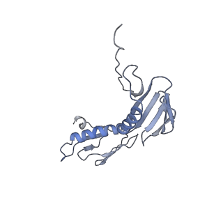 6486_3jbv_g_v1-5
Mechanisms of Ribosome Stalling by SecM at Multiple Elongation Steps