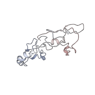 6486_3jbv_h_v1-5
Mechanisms of Ribosome Stalling by SecM at Multiple Elongation Steps