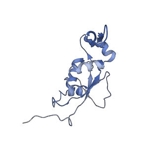 6486_3jbv_j_v1-5
Mechanisms of Ribosome Stalling by SecM at Multiple Elongation Steps
