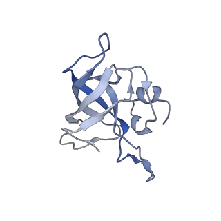 6486_3jbv_k_v1-5
Mechanisms of Ribosome Stalling by SecM at Multiple Elongation Steps