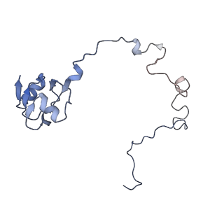 6486_3jbv_l_v1-5
Mechanisms of Ribosome Stalling by SecM at Multiple Elongation Steps