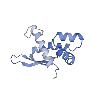 6486_3jbv_n_v1-5
Mechanisms of Ribosome Stalling by SecM at Multiple Elongation Steps