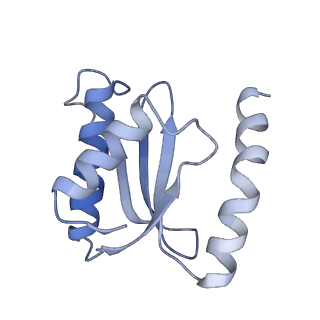 6486_3jbv_o_v1-5
Mechanisms of Ribosome Stalling by SecM at Multiple Elongation Steps