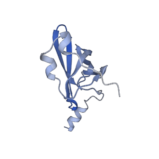 6486_3jbv_p_v1-5
Mechanisms of Ribosome Stalling by SecM at Multiple Elongation Steps