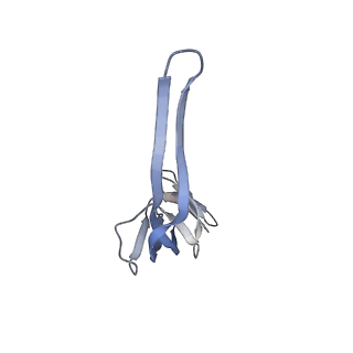6486_3jbv_r_v1-5
Mechanisms of Ribosome Stalling by SecM at Multiple Elongation Steps