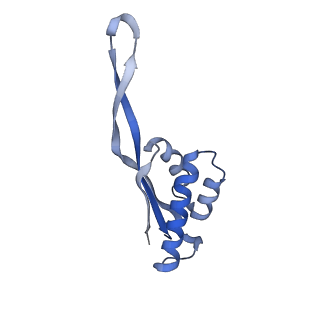 6486_3jbv_s_v1-5
Mechanisms of Ribosome Stalling by SecM at Multiple Elongation Steps