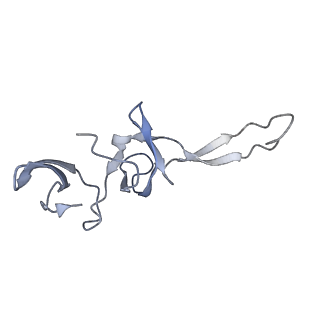6486_3jbv_u_v1-5
Mechanisms of Ribosome Stalling by SecM at Multiple Elongation Steps