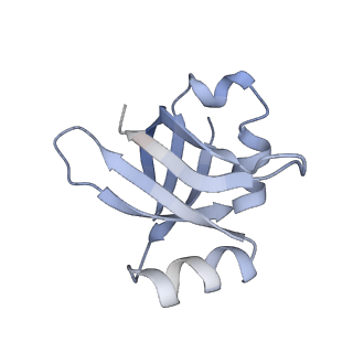 6486_3jbv_w_v1-5
Mechanisms of Ribosome Stalling by SecM at Multiple Elongation Steps