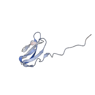 6486_3jbv_y_v1-5
Mechanisms of Ribosome Stalling by SecM at Multiple Elongation Steps