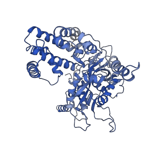 6487_3jbx_A_v1-2
Cryo-electron microscopy structure of RAG Signal End Complex (C2 symmetry)