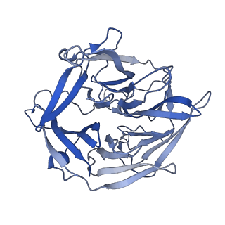 6487_3jbx_B_v1-2
Cryo-electron microscopy structure of RAG Signal End Complex (C2 symmetry)