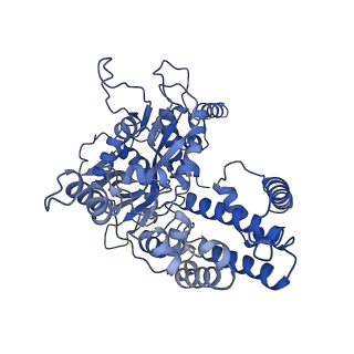 6487_3jbx_C_v1-2
Cryo-electron microscopy structure of RAG Signal End Complex (C2 symmetry)