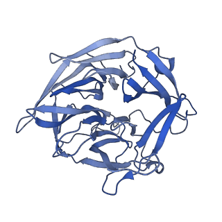 6487_3jbx_D_v1-2
Cryo-electron microscopy structure of RAG Signal End Complex (C2 symmetry)