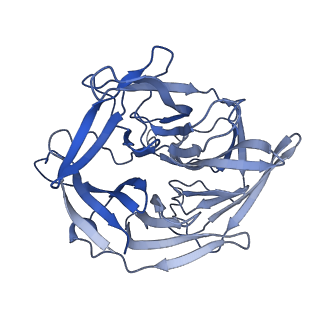 6488_3jby_B_v1-2
Cryo-electron microscopy structure of RAG Paired Complex (C2 symmetry)