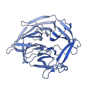 6488_3jby_D_v1-2
Cryo-electron microscopy structure of RAG Paired Complex (C2 symmetry)