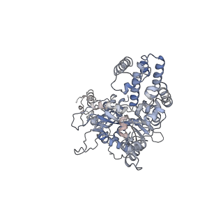 6489_3jbw_A_v1-2
Cryo-electron microscopy structure of RAG Paired Complex (with NBD, no symmetry)