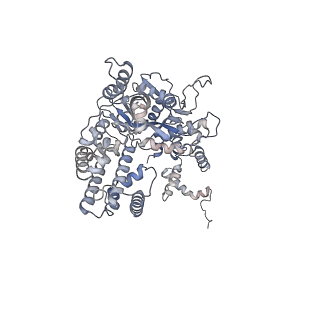 6489_3jbw_C_v1-2
Cryo-electron microscopy structure of RAG Paired Complex (with NBD, no symmetry)