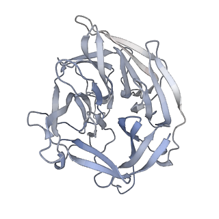 6489_3jbw_D_v1-2
Cryo-electron microscopy structure of RAG Paired Complex (with NBD, no symmetry)