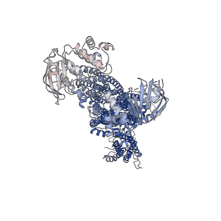 9787_6jb1_B_v1-1
Structure of pancreatic ATP-sensitive potassium channel bound with repaglinide and ATPgammaS at 3.3A resolution