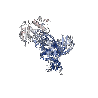 9787_6jb1_B_v2-0
Structure of pancreatic ATP-sensitive potassium channel bound with repaglinide and ATPgammaS at 3.3A resolution