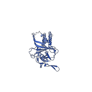 9787_6jb1_C_v1-1
Structure of pancreatic ATP-sensitive potassium channel bound with repaglinide and ATPgammaS at 3.3A resolution