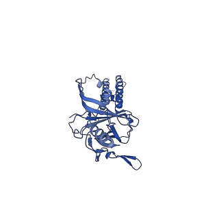 9787_6jb1_C_v2-0
Structure of pancreatic ATP-sensitive potassium channel bound with repaglinide and ATPgammaS at 3.3A resolution