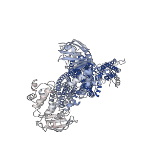 9787_6jb1_D_v1-1
Structure of pancreatic ATP-sensitive potassium channel bound with repaglinide and ATPgammaS at 3.3A resolution