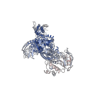 9787_6jb1_F_v1-1
Structure of pancreatic ATP-sensitive potassium channel bound with repaglinide and ATPgammaS at 3.3A resolution