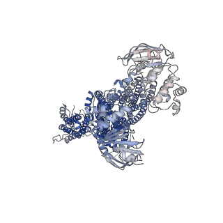 9787_6jb1_H_v1-1
Structure of pancreatic ATP-sensitive potassium channel bound with repaglinide and ATPgammaS at 3.3A resolution