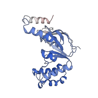 9790_6jbh_A_v1-1
Cryo-EM structure and transport mechanism of a wall teichoic acid ABC transporter