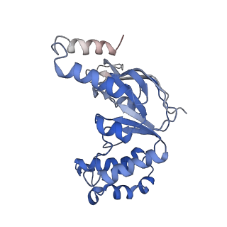 9790_6jbh_A_v1-2
Cryo-EM structure and transport mechanism of a wall teichoic acid ABC transporter