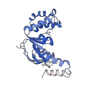 9790_6jbh_B_v1-1
Cryo-EM structure and transport mechanism of a wall teichoic acid ABC transporter