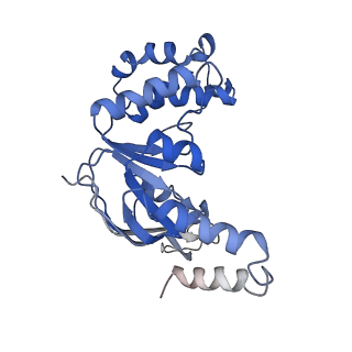 9790_6jbh_B_v1-2
Cryo-EM structure and transport mechanism of a wall teichoic acid ABC transporter