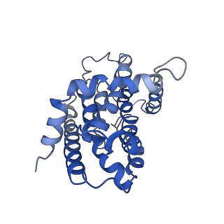 9790_6jbh_C_v1-1
Cryo-EM structure and transport mechanism of a wall teichoic acid ABC transporter