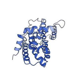 9790_6jbh_C_v1-2
Cryo-EM structure and transport mechanism of a wall teichoic acid ABC transporter